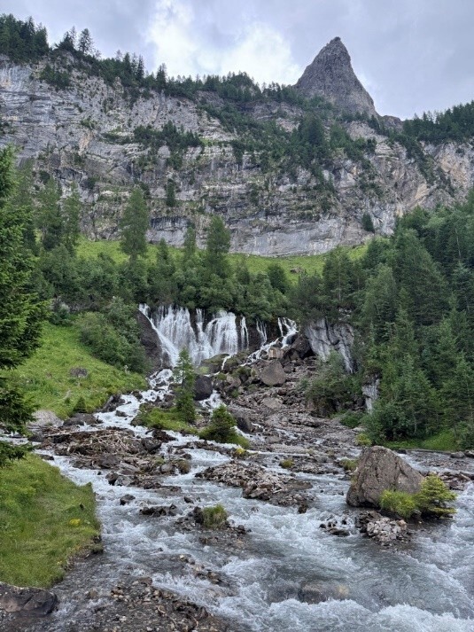 Wasserfall und Bäume vor einer Felswand