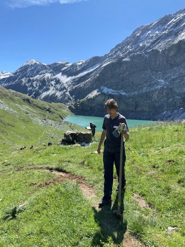 Lernender Leon auf einer Wiese mit Felswand im Hintergrund