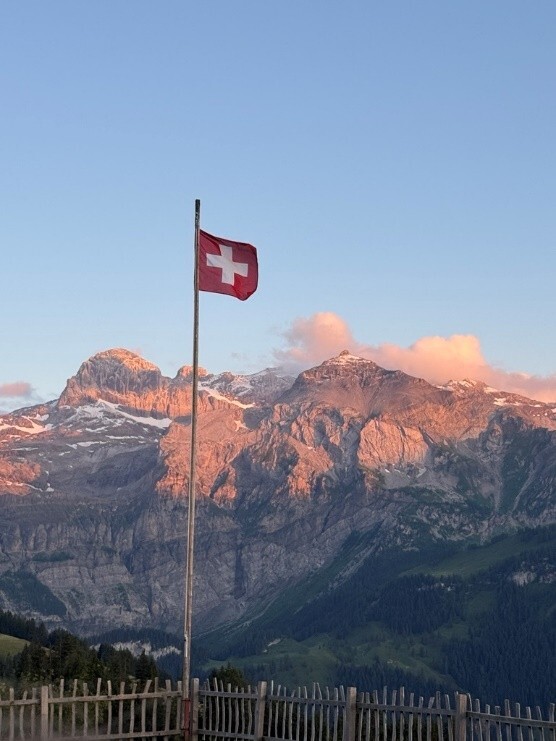 Schweizer Fahne mit Bergen im Hintergund